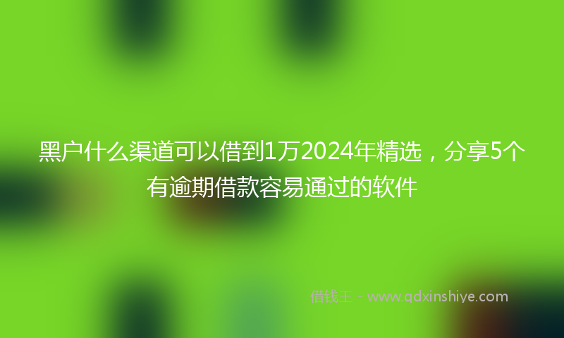 黑户什么渠道可以借到1万2024年精选，分享5个有逾期借款容易通过的软件
