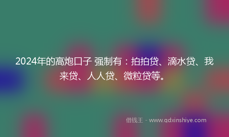 2024年的高炮口子 强制有：拍拍贷、滴水贷、我来贷、人人贷、微粒贷等。