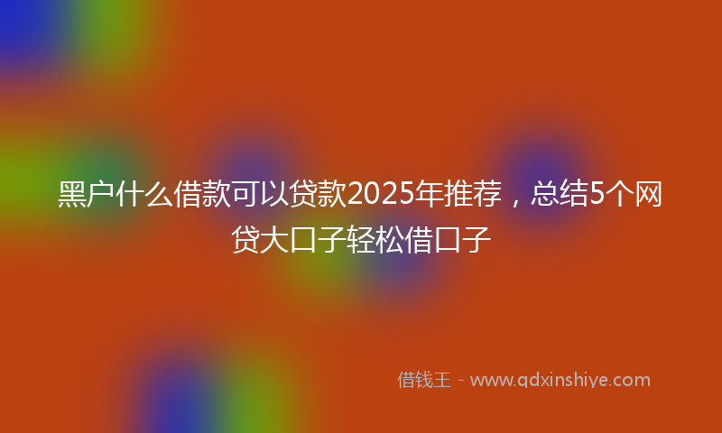 黑户什么借款可以贷款2025年推荐，总结5个网贷大口子轻松借口子
