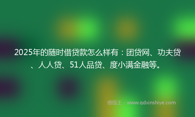 2025年的随时借贷款怎么样有：团贷网、功夫贷、人人贷、51人品贷、度小满金融等。
