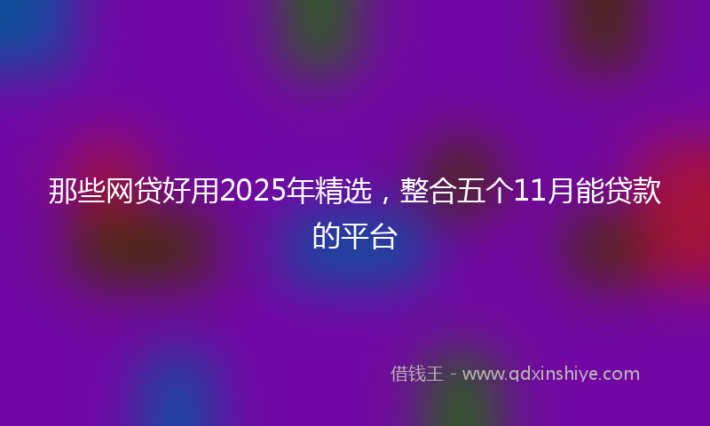 那些网贷好用2025年精选，整合五个11月能贷款的平台