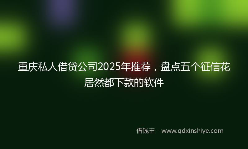 重庆私人借贷公司2025年推荐，盘点五个征信花居然都下款的软件
