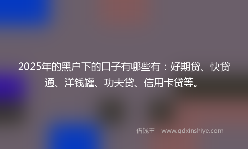 2025年的黑户下的口子有哪些有：好期贷、快贷通、洋钱罐、功夫贷、信用卡贷等。