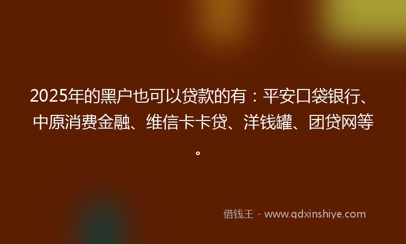 2025年的黑户也可以贷款的有：平安口袋银行、中原消费金融、维信卡卡贷、洋钱罐、团贷网等。