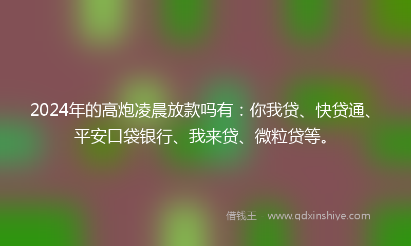 2024年的高炮凌晨放款吗有：你我贷、快贷通、平安口袋银行、我来贷、微粒贷等。