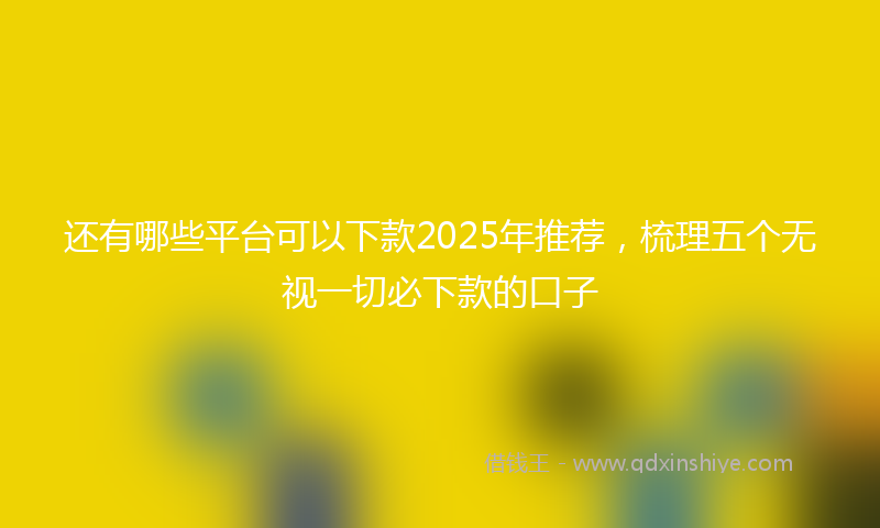 还有哪些平台可以下款2025年推荐，梳理五个无视一切必下款的口子