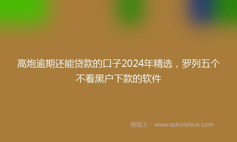 高炮逾期还能贷款的口子2024年精选，罗列五个不看黑户下款的软件