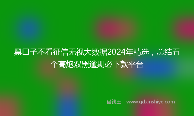 黑口子不看征信无视大数据2024年精选，总结五个高炮双黑逾期必下款平台