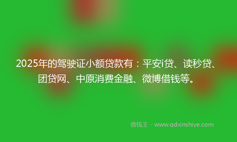 2025年的驾驶证小额贷款有：平安i贷、读秒贷、团贷网、中原消费金融、微博借钱等。