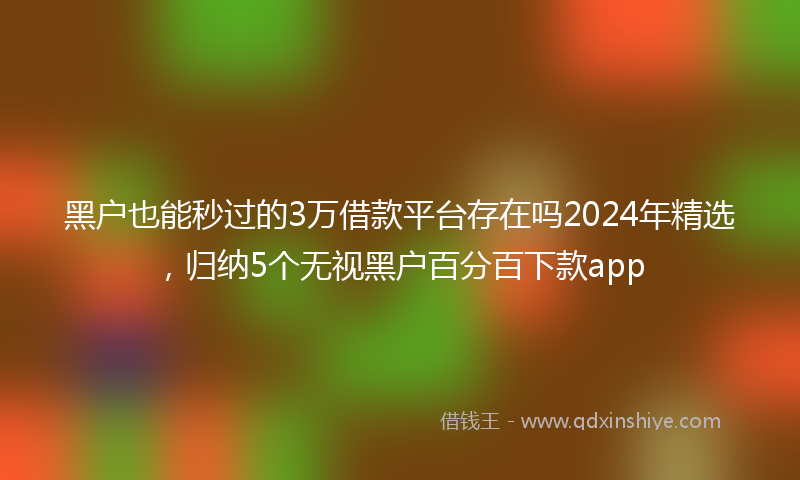 黑户也能秒过的3万借款平台存在吗2024年精选，归纳5个无视黑户百分百下款app