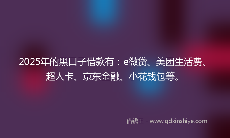 2025年的黑口子借款有：e微贷、美团生活费、超人卡、京东金融、小花钱包等。