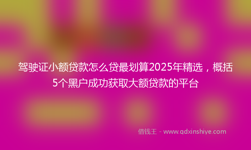 驾驶证小额贷款怎么贷最划算2025年精选，概括5个黑户成功获取大额贷款的平台