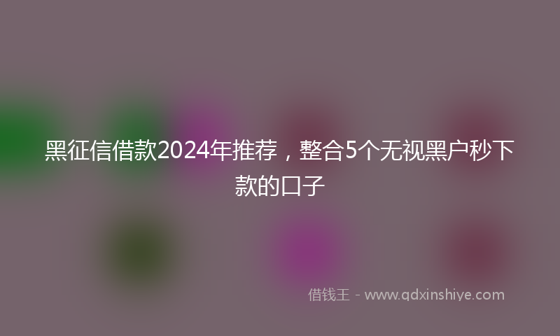 黑征信借款2024年推荐，整合5个无视黑户秒下款的口子