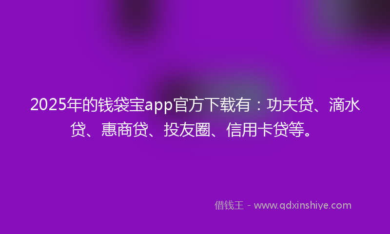 2025年的钱袋宝app官方下载有：功夫贷、滴水贷、惠商贷、投友圈、信用卡贷等。