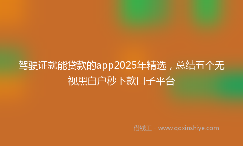 驾驶证就能贷款的app2025年精选，总结五个无视黑白户秒下款口子平台