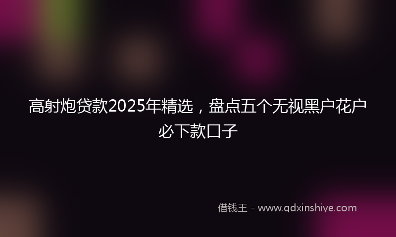 高射炮贷款2025年精选，盘点五个无视黑户花户必下款口子