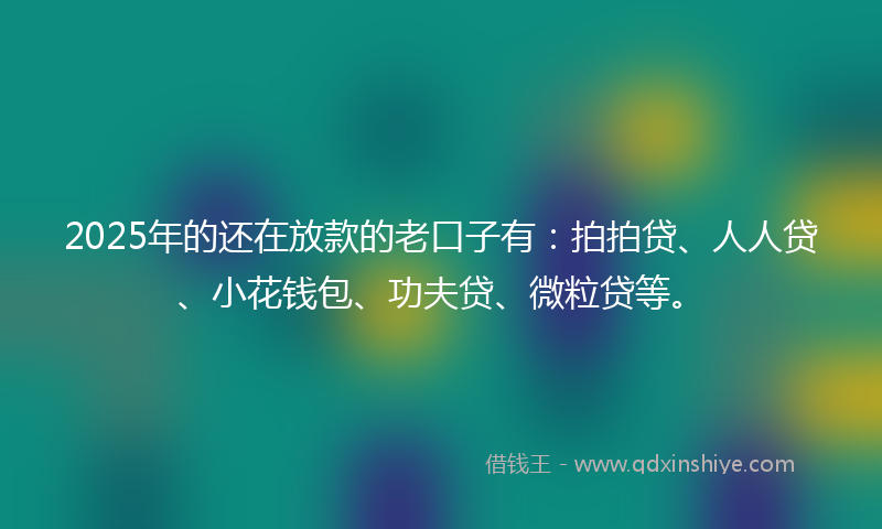 2025年的还在放款的老口子有：拍拍贷、人人贷、小花钱包、功夫贷、微粒贷等。