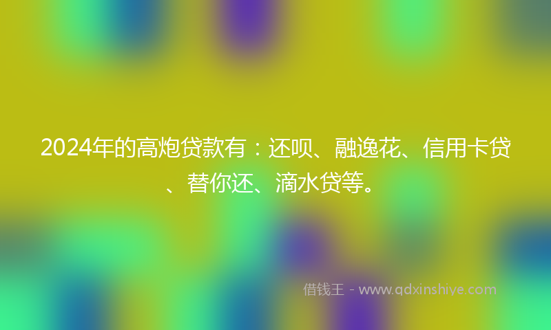 2024年的高炮贷款有：还呗、融逸花、信用卡贷、替你还、滴水贷等。