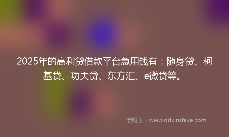 2025年的高利贷借款平台急用钱有：随身贷、柯基贷、功夫贷、东方汇、e微贷等。