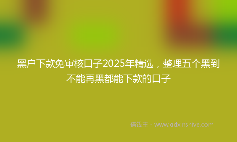黑户下款免审核口子2025年精选，整理五个黑到不能再黑都能下款的口子