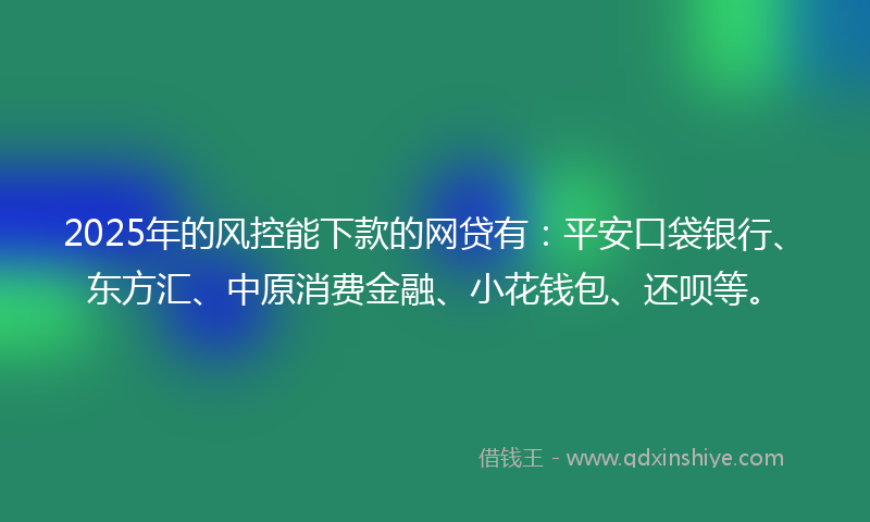 2025年的风控能下款的网贷有：平安口袋银行、东方汇、中原消费金融、小花钱包、还呗等。
