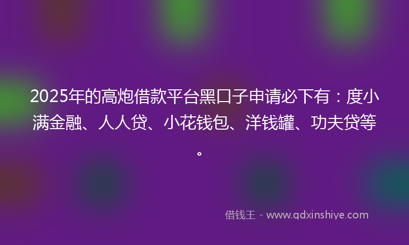 2025年的高炮借款平台黑口子申请必下有：度小满金融、人人贷、小花钱包、洋钱罐、功夫贷等。