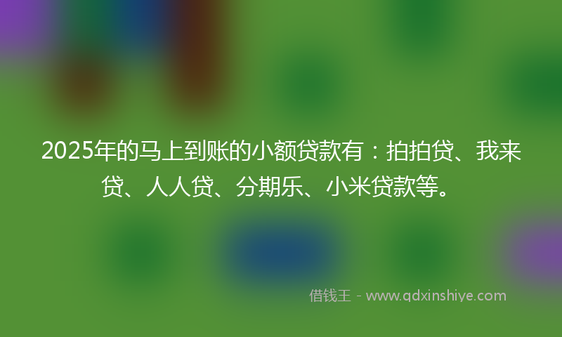 2025年的马上到账的小额贷款有：拍拍贷、我来贷、人人贷、分期乐、小米贷款等。