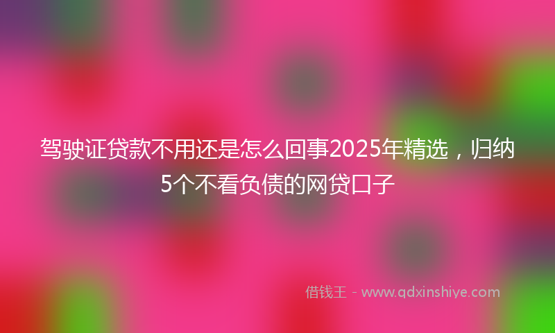 驾驶证贷款不用还是怎么回事2025年精选，归纳5个不看负债的网贷口子