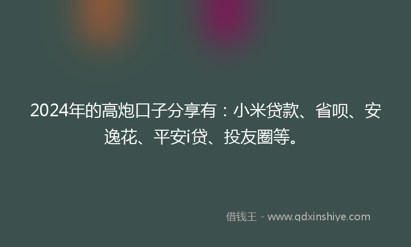 2024年的高炮口子分享有：小米贷款、省呗、安逸花、平安i贷、投友圈等。