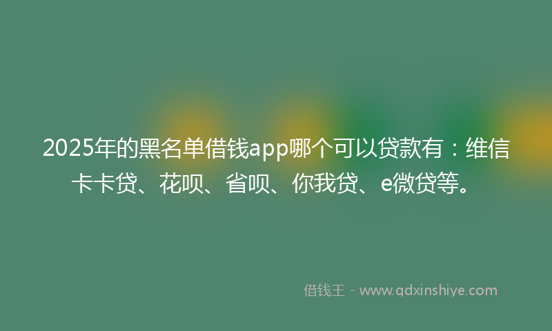 2025年的黑名单借钱app哪个可以贷款有：维信卡卡贷、花呗、省呗、你我贷、e微贷等。