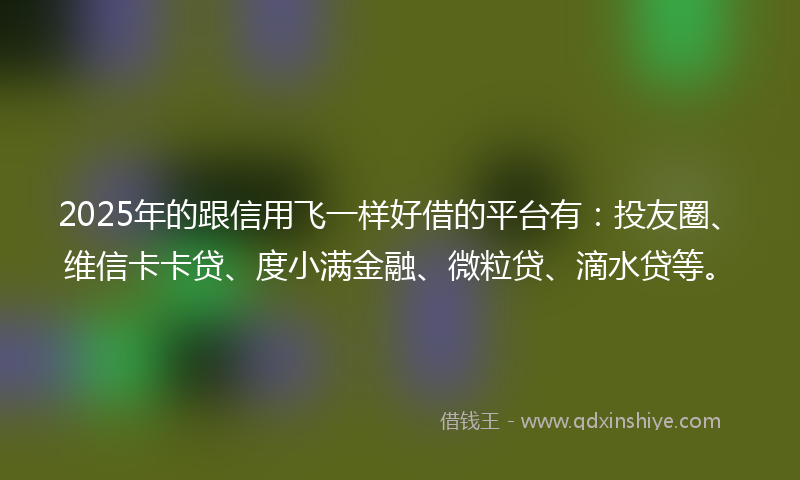 2025年的跟信用飞一样好借的平台有：投友圈、维信卡卡贷、度小满金融、微粒贷、滴水贷等。