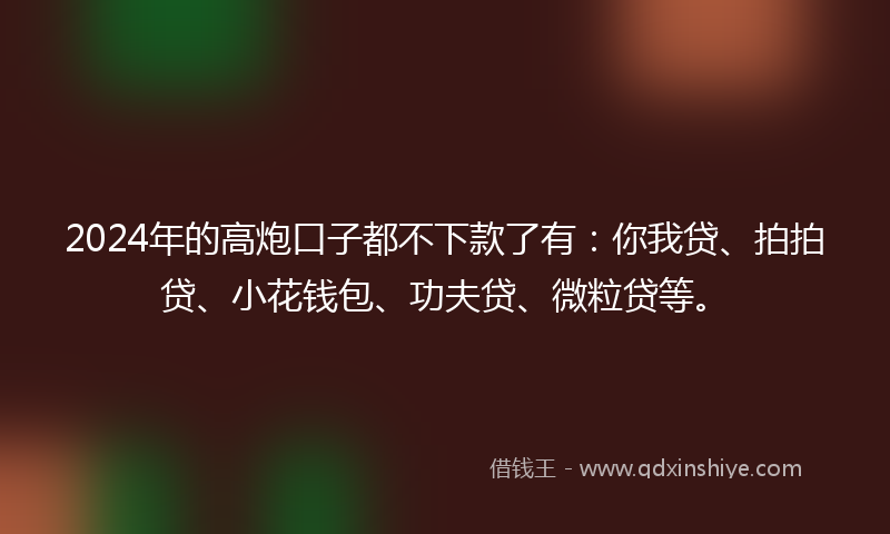 2024年的高炮口子都不下款了有：你我贷、拍拍贷、小花钱包、功夫贷、微粒贷等。