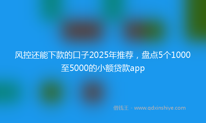 风控还能下款的口子2025年推荐，盘点5个1000至5000的小额贷款app