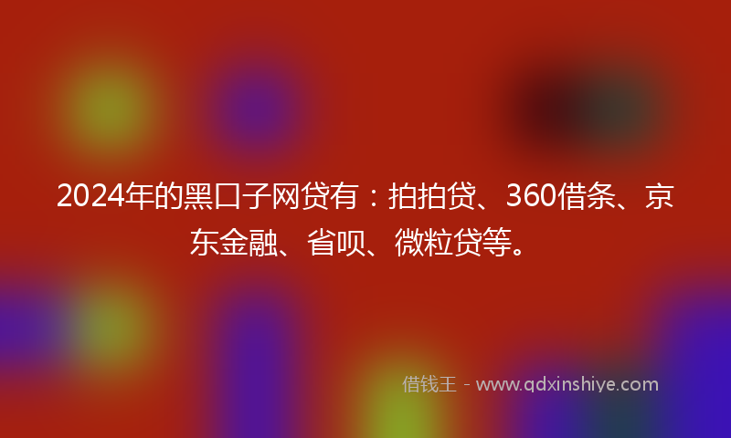 2024年的黑口子网贷有：拍拍贷、360借条、京东金融、省呗、微粒贷等。