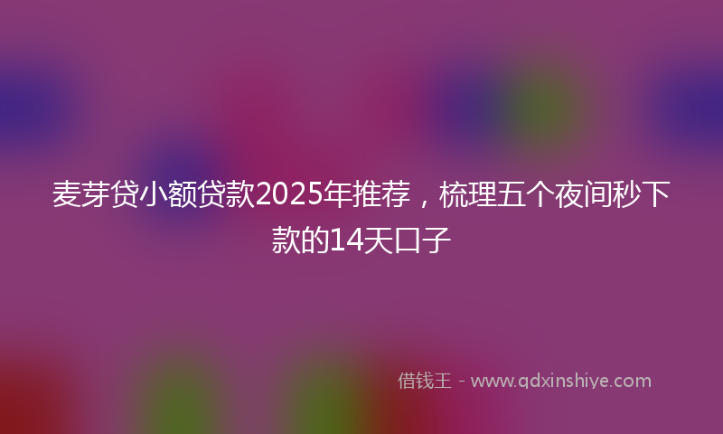 麦芽贷小额贷款2025年推荐，梳理五个夜间秒下款的14天口子