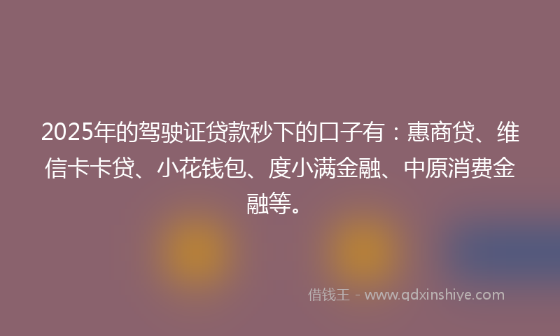 2025年的驾驶证贷款秒下的口子有：惠商贷、维信卡卡贷、小花钱包、度小满金融、中原消费金融等。