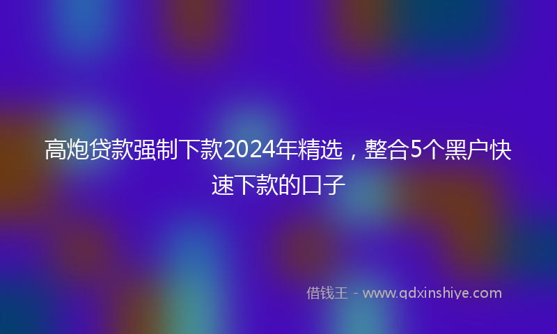 高炮贷款强制下款2024年精选，整合5个黑户快速下款的口子