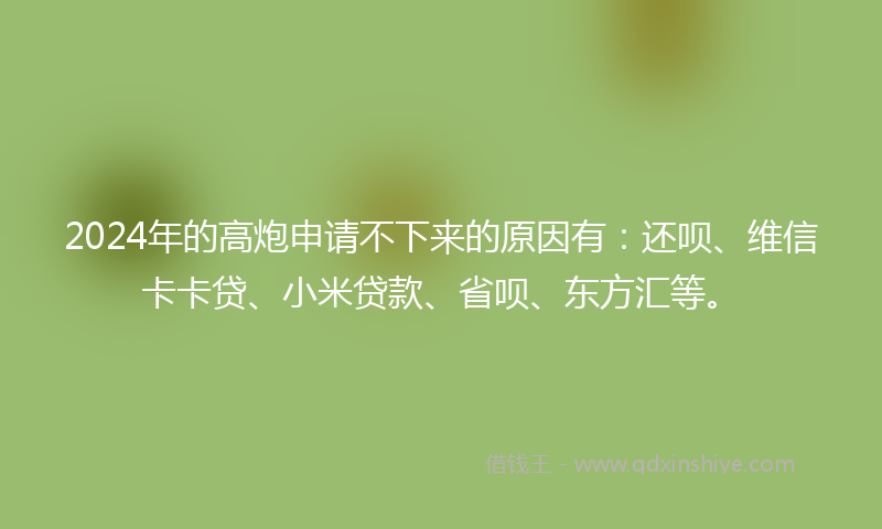 2024年的高炮申请不下来的原因有：还呗、维信卡卡贷、小米贷款、省呗、东方汇等。