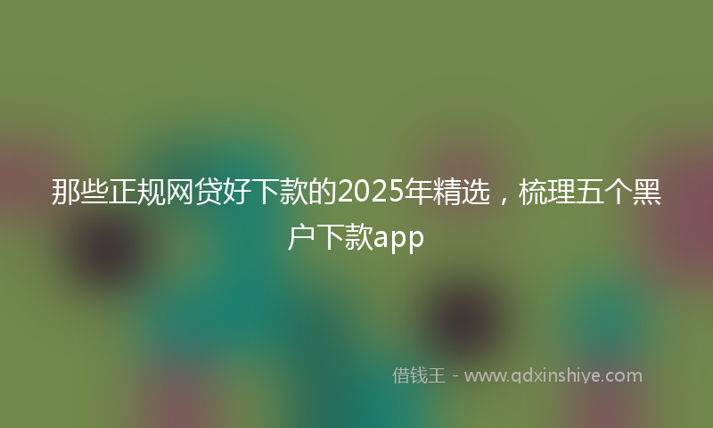 那些正规网贷好下款的2025年精选，梳理五个黑户下款app
