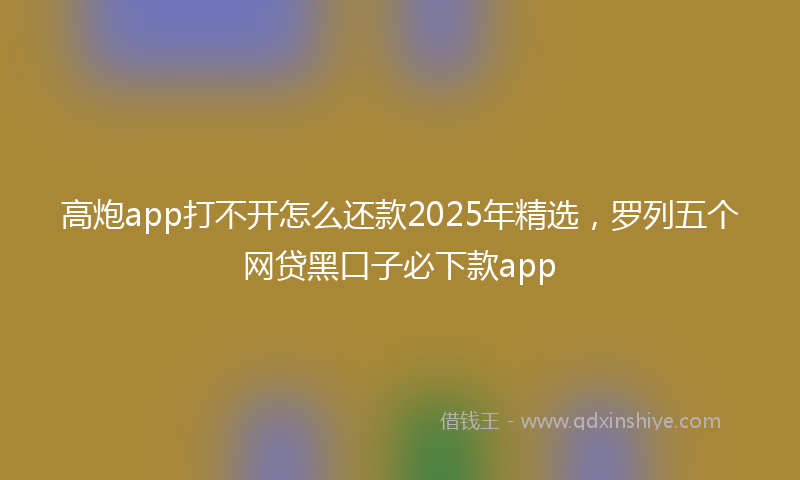 高炮app打不开怎么还款2025年精选，罗列五个网贷黑口子必下款app