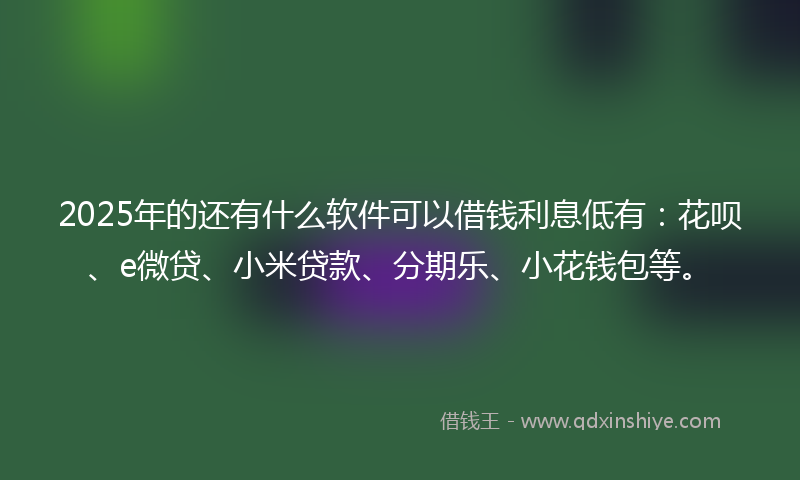 2025年的还有什么软件可以借钱利息低有：花呗、e微贷、小米贷款、分期乐、小花钱包等。