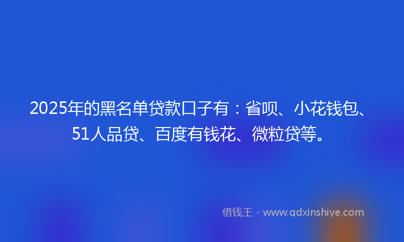 2025年的黑名单贷款口子有：省呗、小花钱包、51人品贷、百度有钱花、微粒贷等。