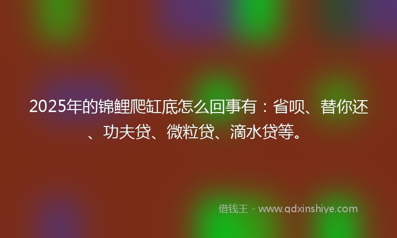 2025年的锦鲤爬缸底怎么回事有：省呗、替你还、功夫贷、微粒贷、滴水贷等。