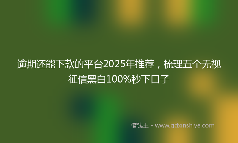 逾期还能下款的平台2025年推荐，梳理五个无视征信黑白100%秒下口子