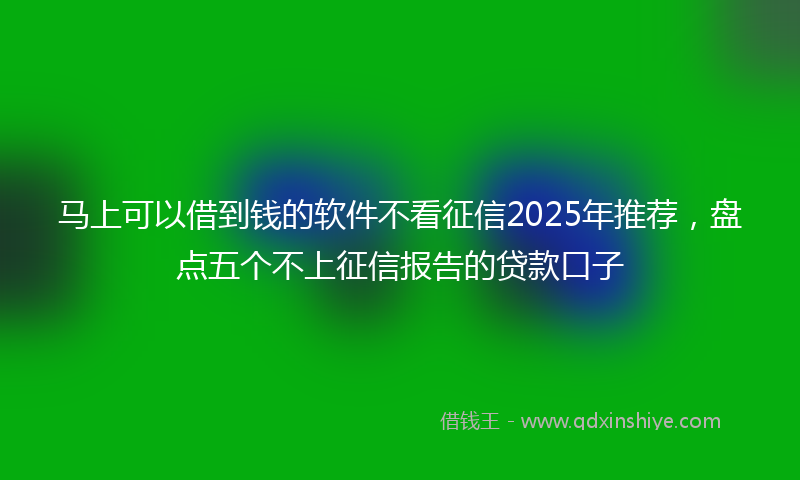 马上可以借到钱的软件不看征信2025年推荐，盘点五个不上征信报告的贷款口子