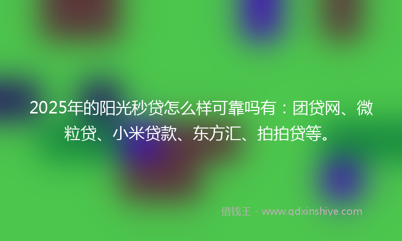 2025年的阳光秒贷怎么样可靠吗有：团贷网、微粒贷、小米贷款、东方汇、拍拍贷等。