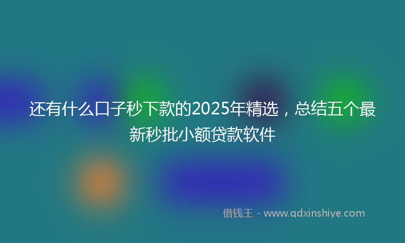 还有什么口子秒下款的2025年精选，总结五个最新秒批小额贷款软件