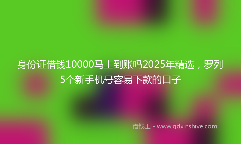 身份证借钱10000马上到账吗2025年精选，罗列5个新手机号容易下款的口子