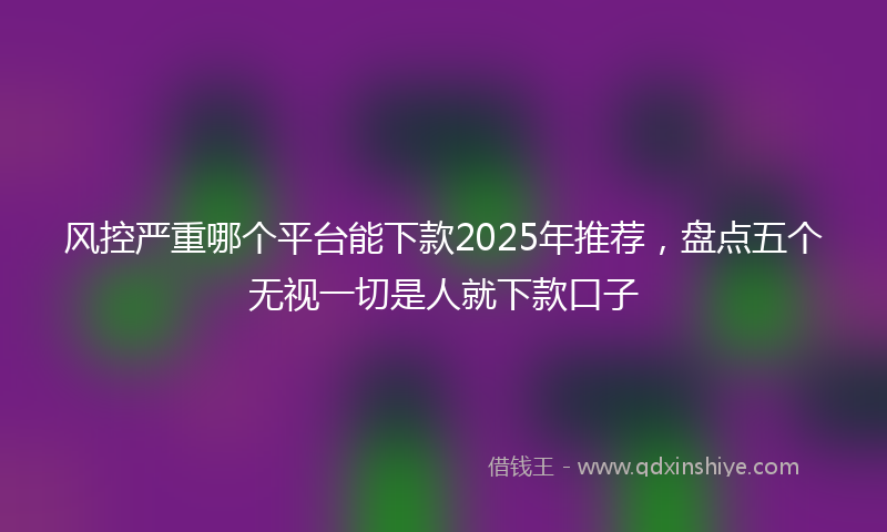 风控严重哪个平台能下款2025年推荐，盘点五个无视一切是人就下款口子