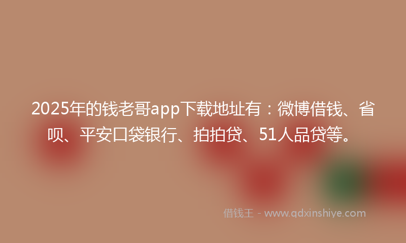 2025年的钱老哥app下载地址有：微博借钱、省呗、平安口袋银行、拍拍贷、51人品贷等。